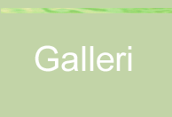 Till galleriet